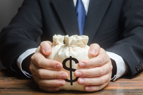Money bag in a hand